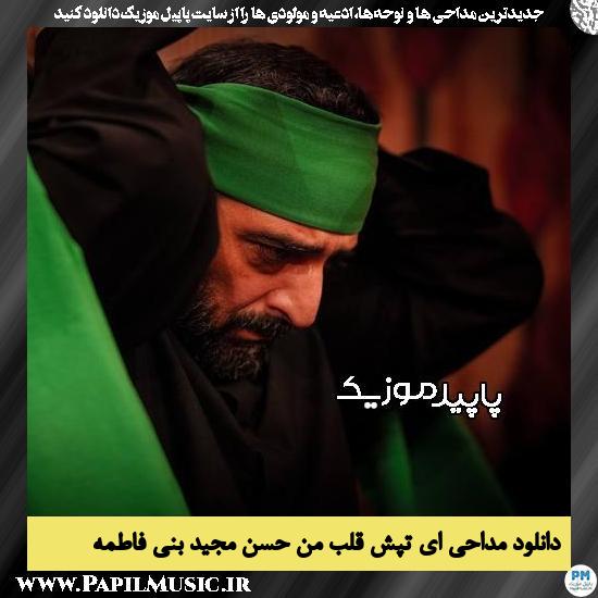 دانلود مداحی ای تپش قلب من حسن از مجید بنی فاطمه 10 دانلود مداحی ای تپش قلب من حسن از مجید بنی فاطمه